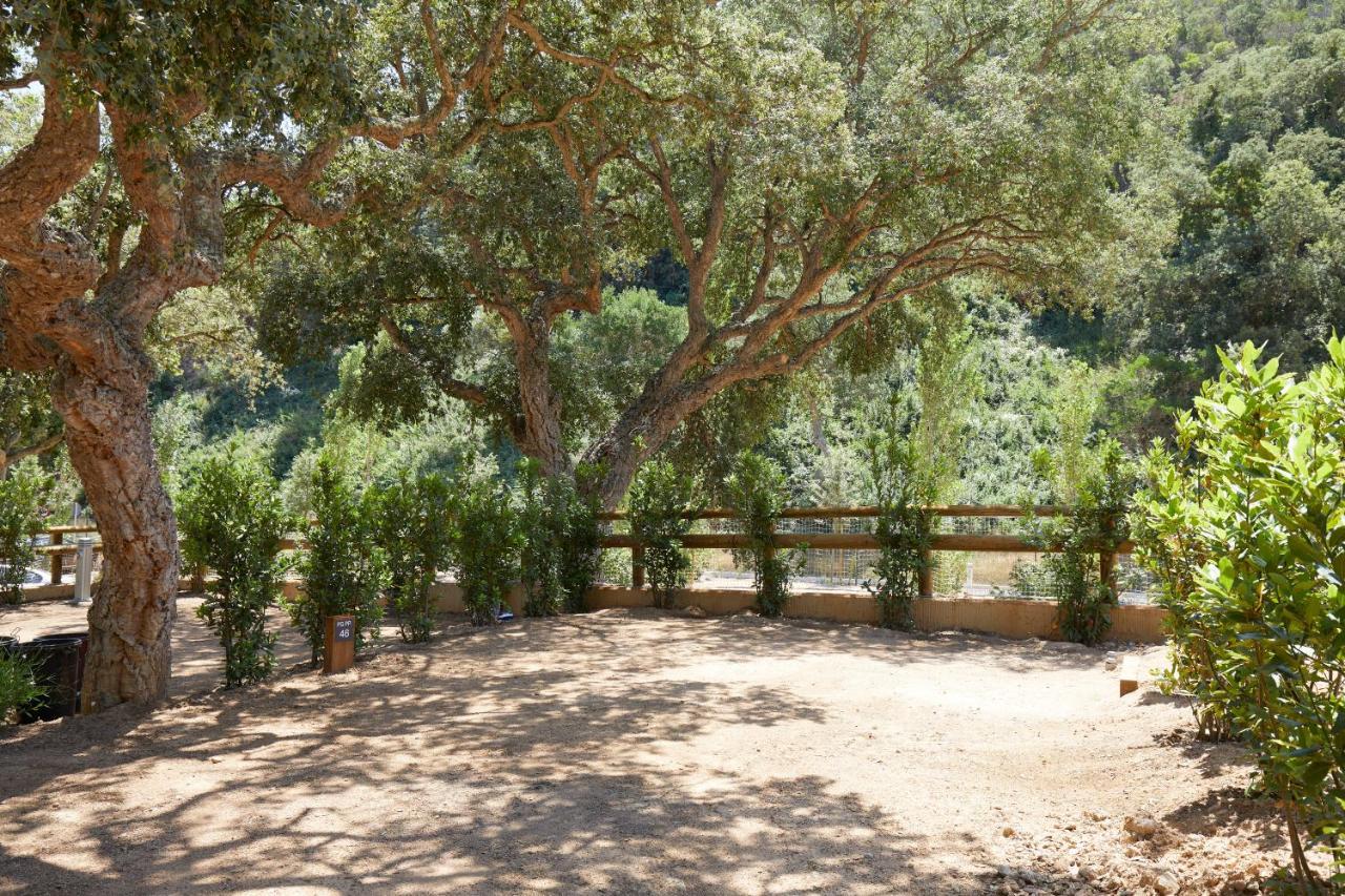 Pola Giverola Camp Tossa de Mar Luaran gambar