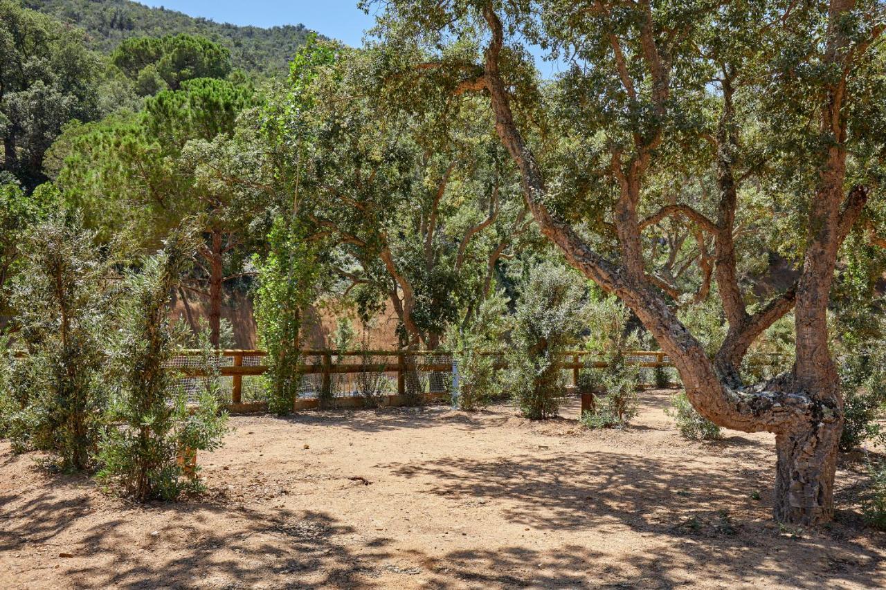 Pola Giverola Camp Tossa de Mar Luaran gambar